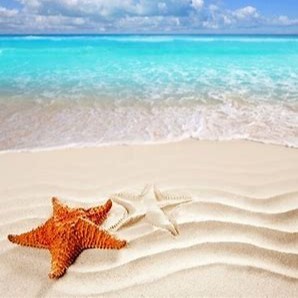 Contact Starfish Massage