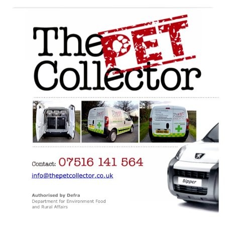 Thepet Collector Email & Phone Number