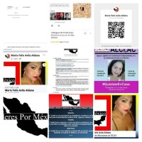 Maria Aldana Email & Phone Number