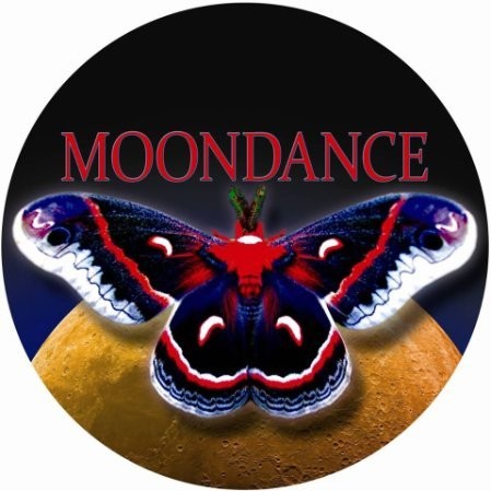 Contact Moondance Band
