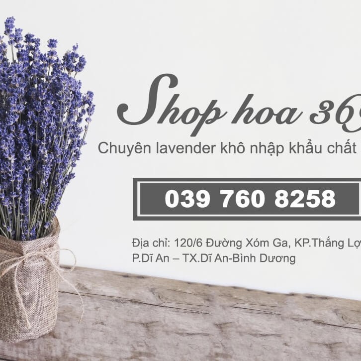 Shop Hoa Sap Kho
