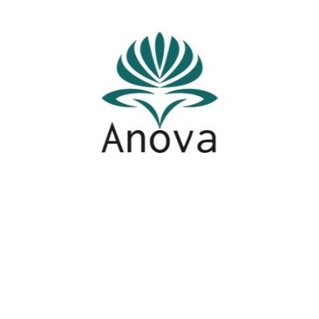 Anova Law Group Pllc