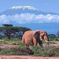 Image of Kilimanday Tours
