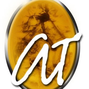 Image of Amber Treasures