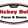Contact Dickey Bub