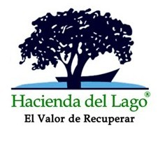 Hacienda Del Lago - Ajijic