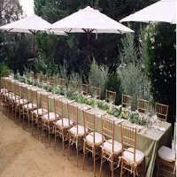 Williams Party Rentals