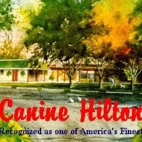 Image of Canine Hilton