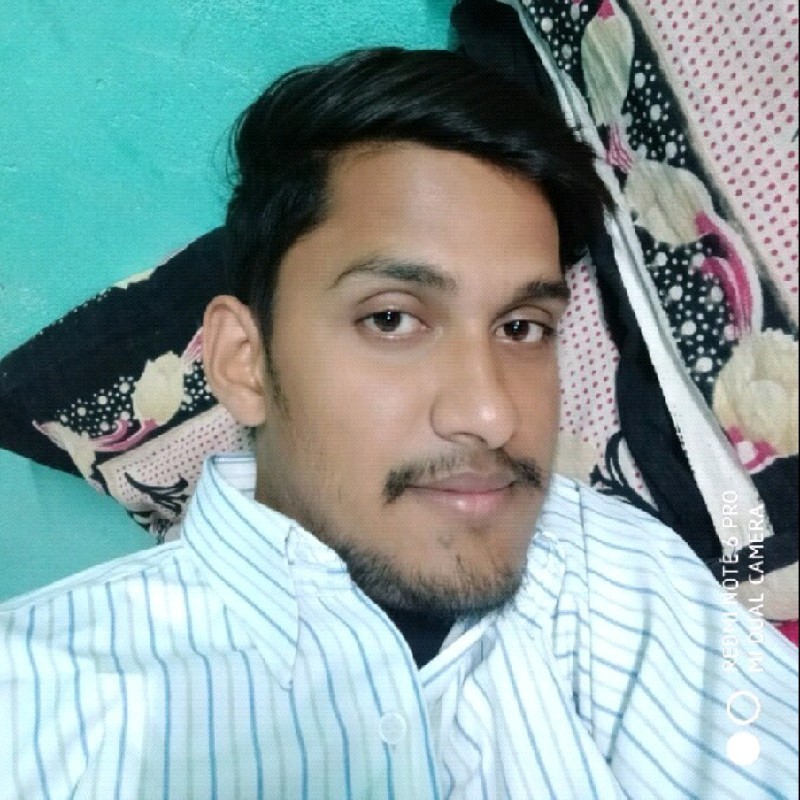 Narendra Kumar Pal