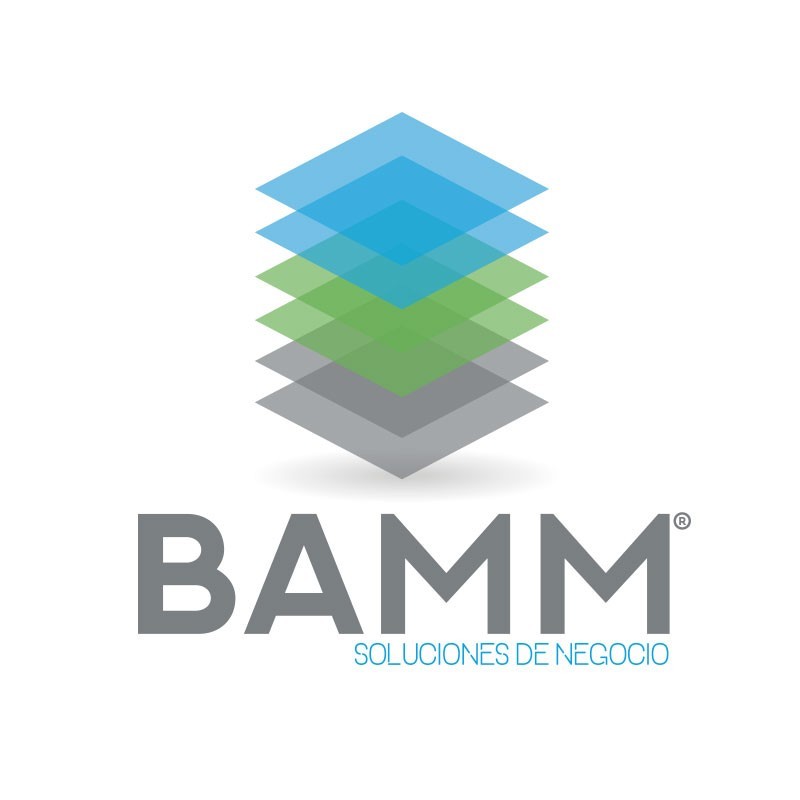 Bamm Consulting