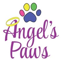 Angel's Paws