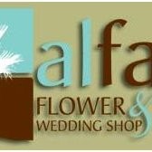 Image of Alfa Shop