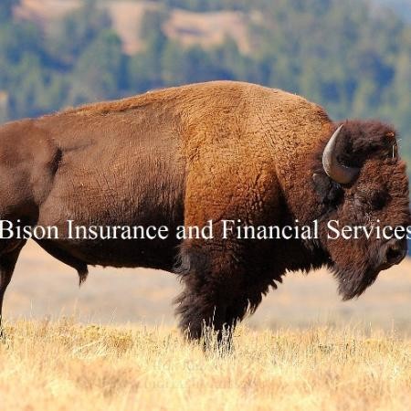 Contact Bison Insurance