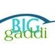 Contact Big Gaddi