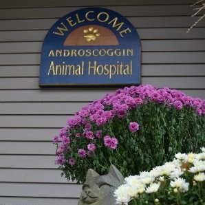 Androscoggin Animal Hospital