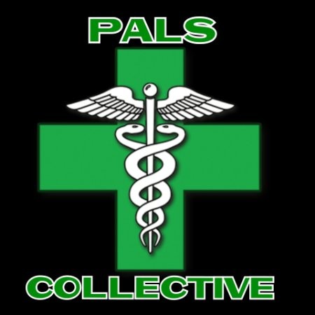 Contact Pals Collective