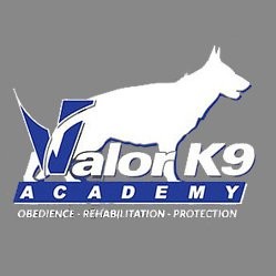 Contact Valor Academy