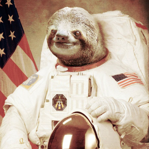 Contact Astro Sloth