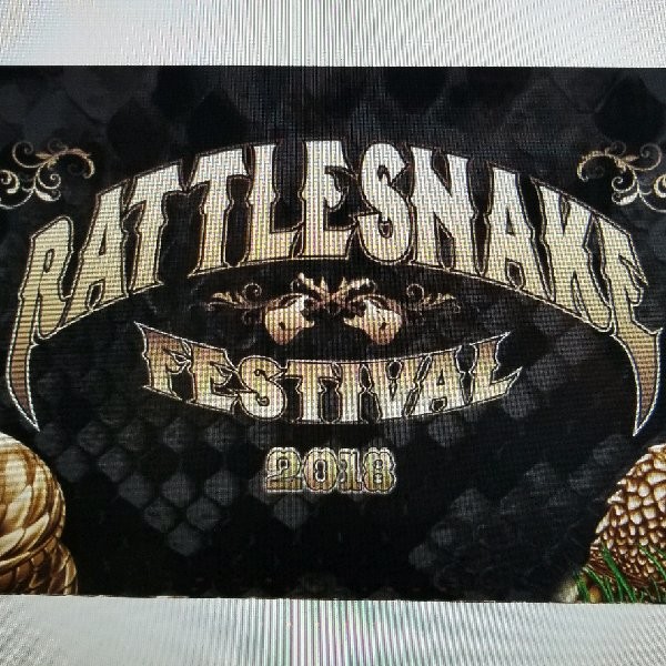 Contact Rattlesnake Festival