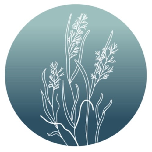 Image of Seagrass Therapeutics