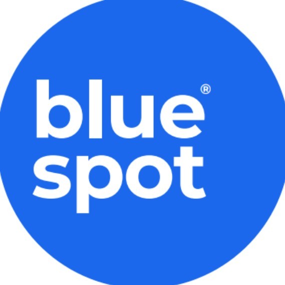 Bluespot Group