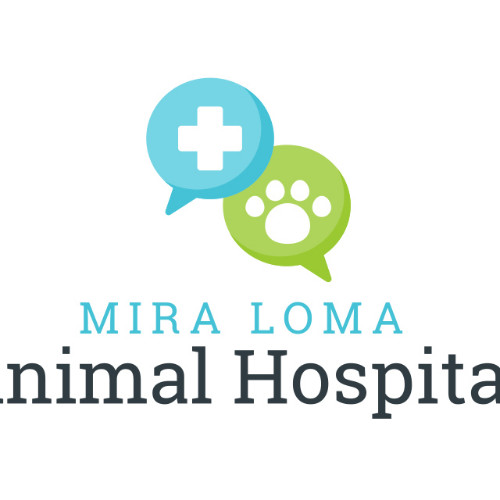 Contact Mira Hospital