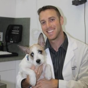 Joshua Broadwater | Animal Eye Specialty Clinic