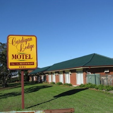 Contact Cardigan Motel