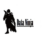 Image of Data Ninja