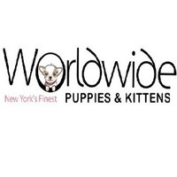 Worldwide Puppies & Kittens