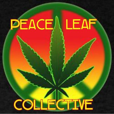 Contact Peace Collective
