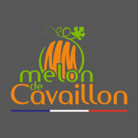 Melon De Cavaillon