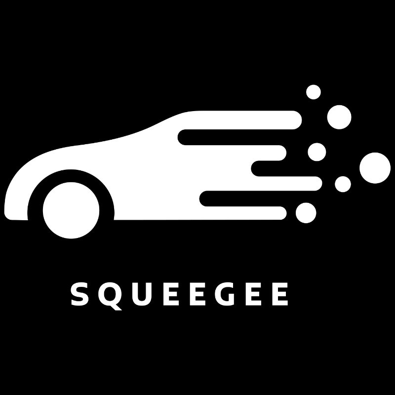 Contact Squeegee Detailing