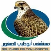 Dhabi Falcon Hospital