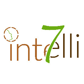 Intelli7 Management Email & Phone Number