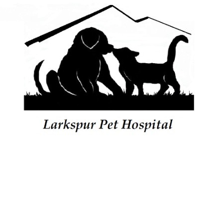 Contact Larkspur Hospital