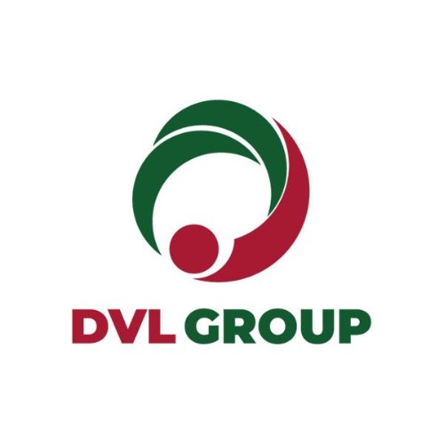 Dvl Group