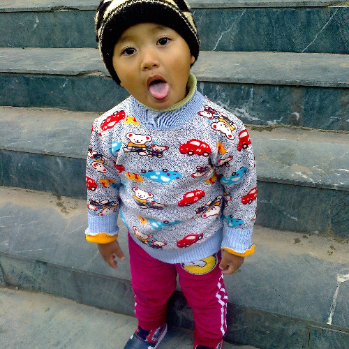Gembo Dorji
