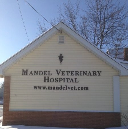 Image of Mandel Hospital
