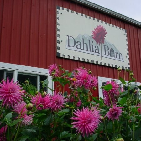 Contact Dahlia Barn