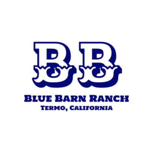 Contact Blue Ranch