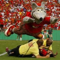 Contact Kc Wolf