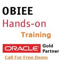 Obiee Online Training