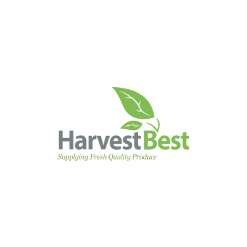 Harvest Best Inc Harvest Best Inc