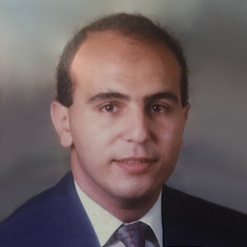 Ahmed M M Ibrahim