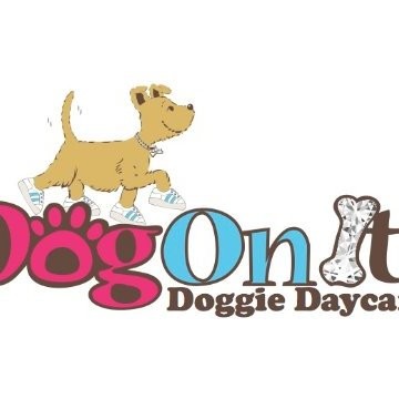Contact Dog Daycare
