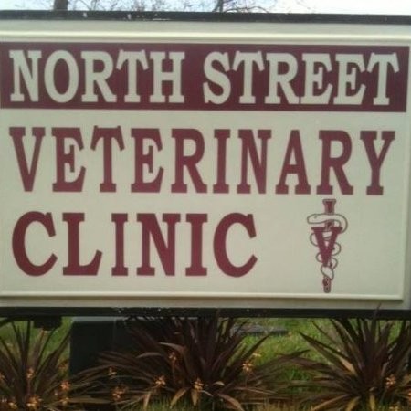 Contact North Clinic