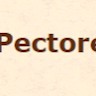 Image of In Pectore