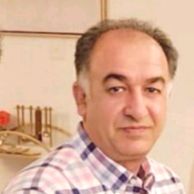 Ali Mohammadian