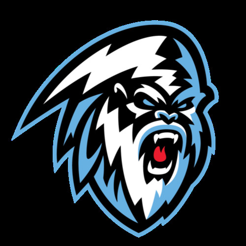 Winnipeg Ice Hockey Club